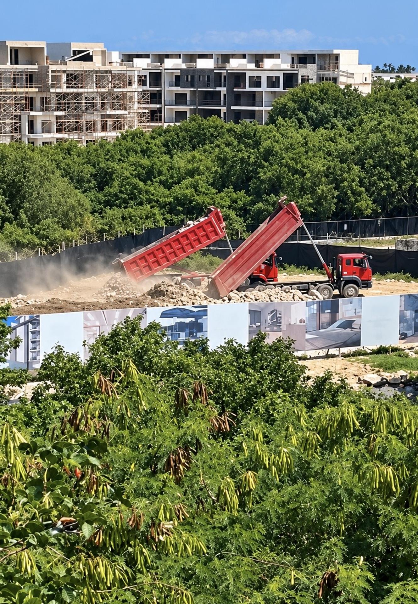 Mariposa Verde